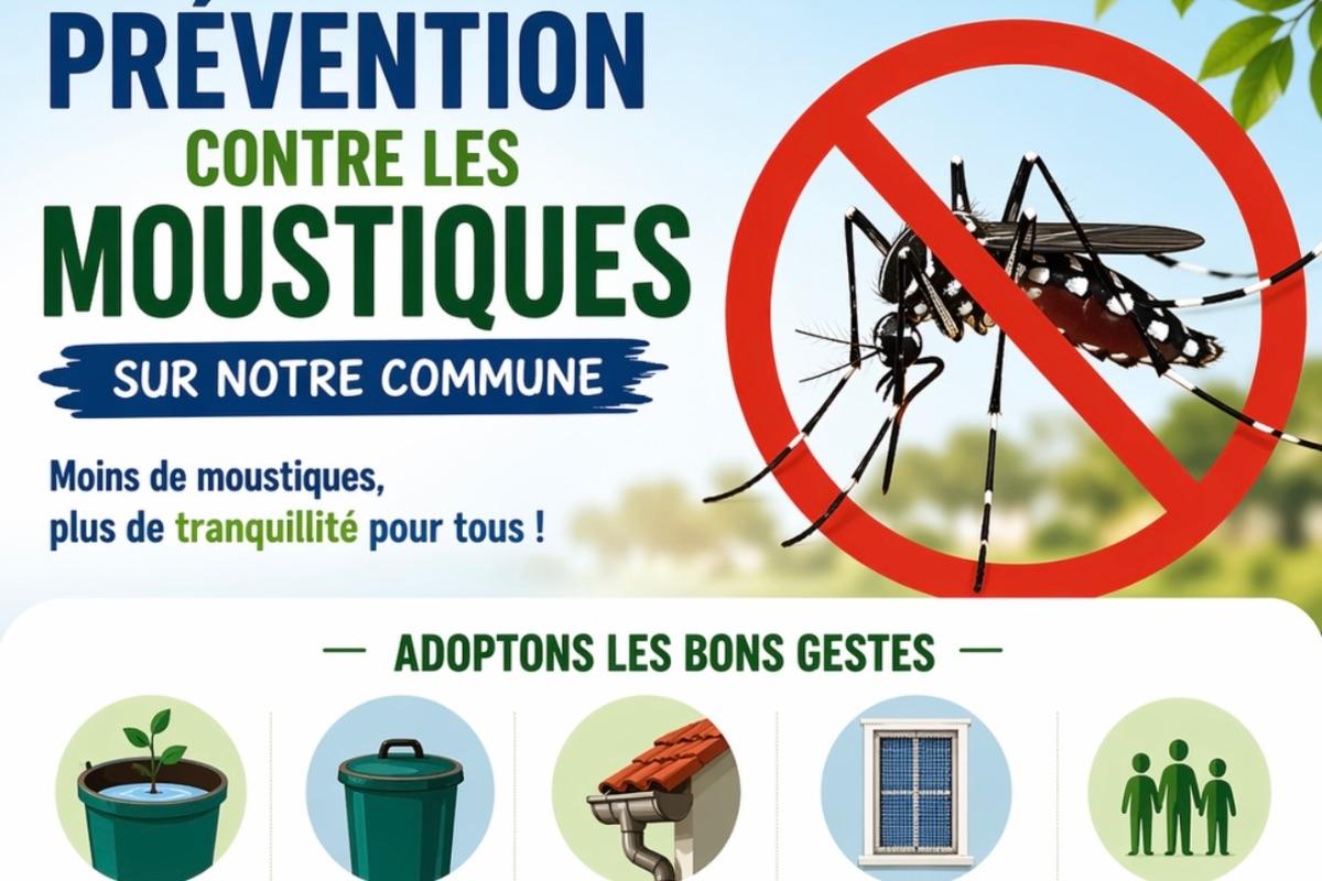 Prévention moustiques ( image générée par l'IA)
